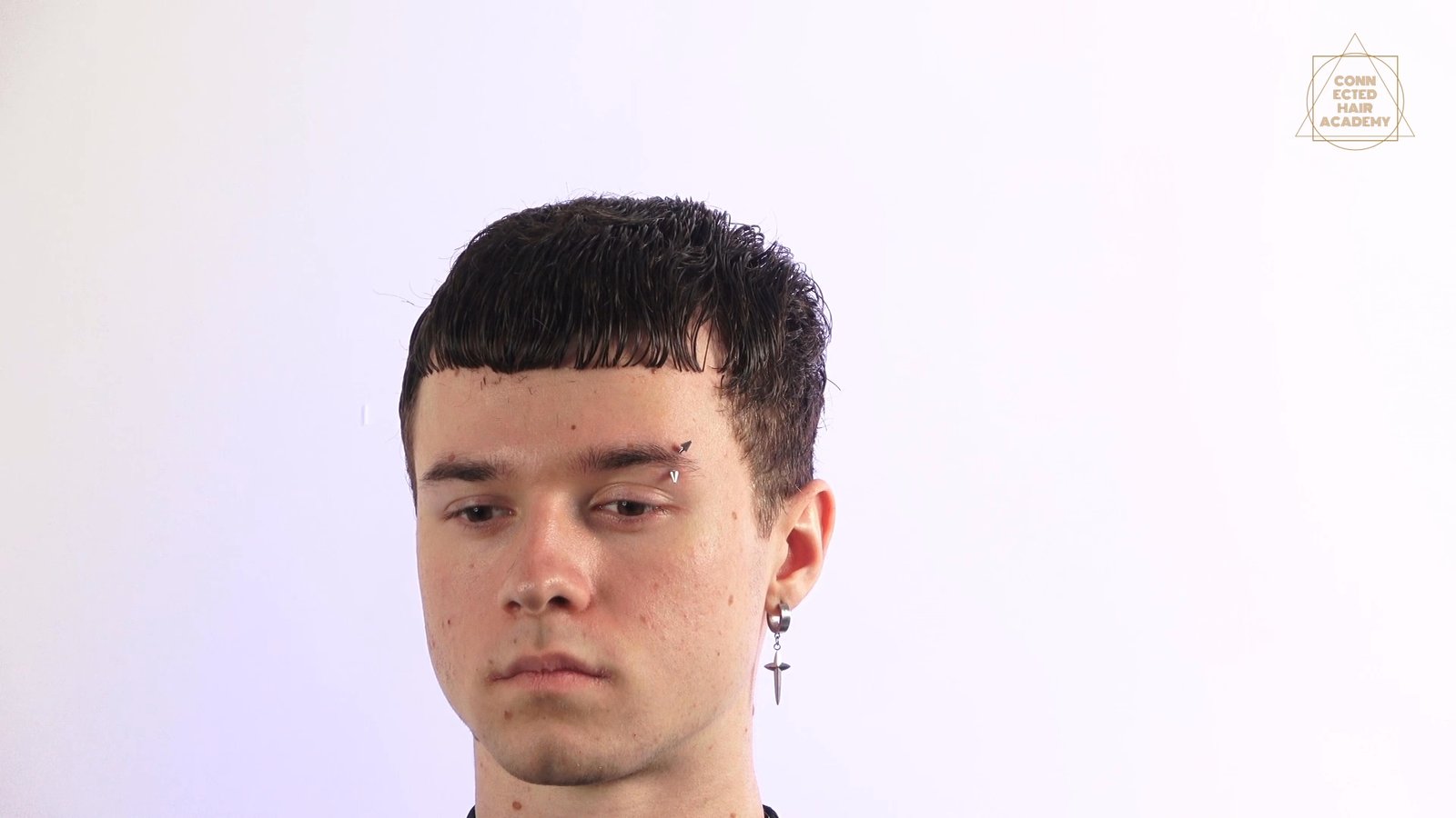 Curly Taper Crop